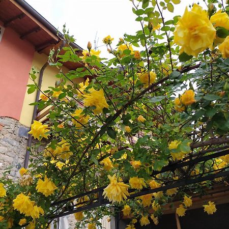 Villa Lakes & Hills Nebbiuno Exterior foto