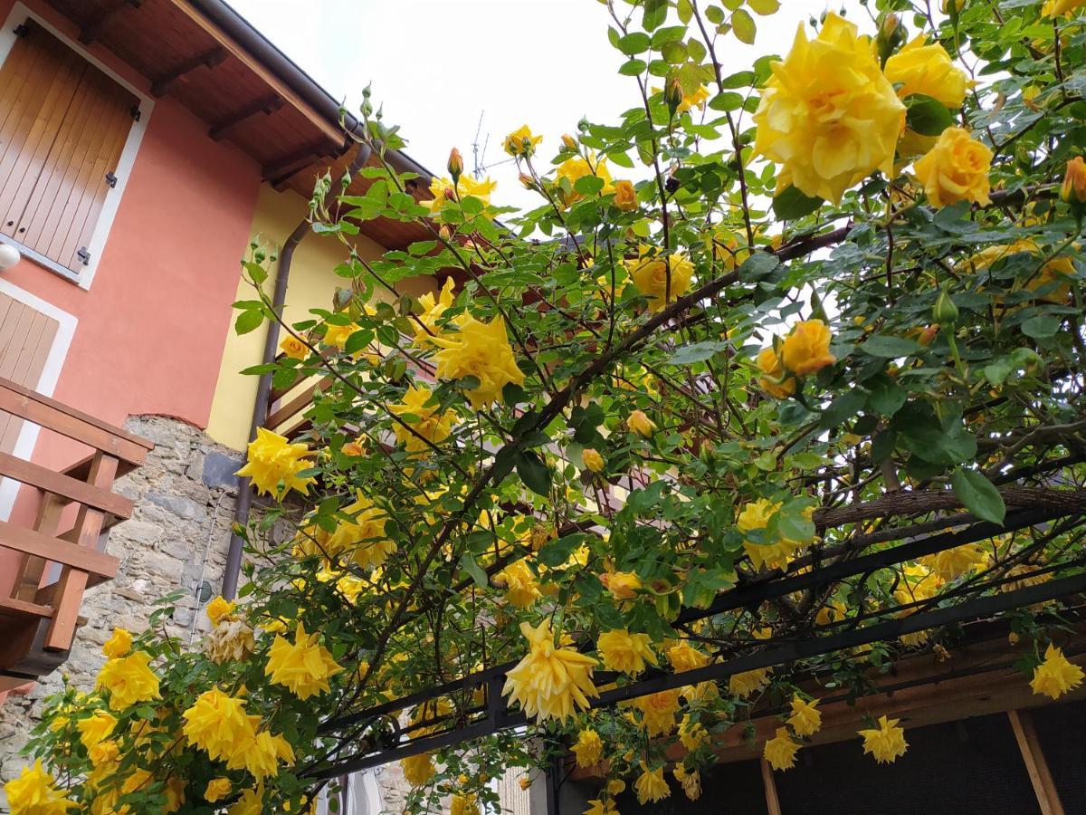 Villa Lakes & Hills Nebbiuno Exterior foto